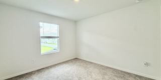 641 Bald Cypress Drive Gallery 35