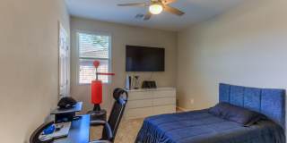 9116 W Silver Cholla Dr Gallery 8