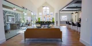 Madison at Adams Farm Gallery 25