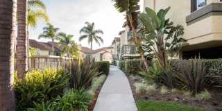 Elan Overlook Laguna Apartments Gallery 14