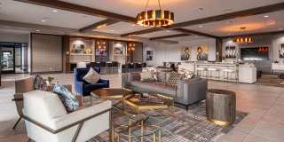 Cortland on Orange Gallery 34