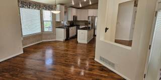 Castle Pines Fabulous 5 Bedroom Oasis Available Now! Gallery 1