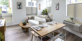 Brookland Apartments Gallery 4
