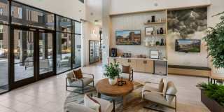 Constellation Park Gallery 1