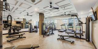 Citizen on Constitution Gallery 10