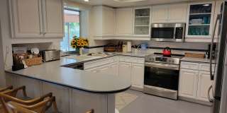 Short term starting Jan. 1, 2027 only BIRD KEY Large 4/3 canal home with heated pool Gallery 5