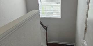 2914 River Birch Drive Gallery 45