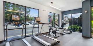 The Patton Gallery 23