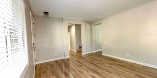 2213 Bon Papa Court Gallery 4