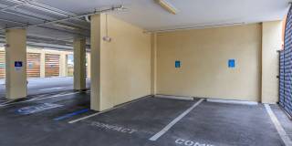 Adagio at Westshore Palms Gallery 19