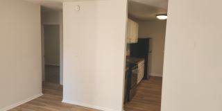 202 Selwyn Alley Gallery 26