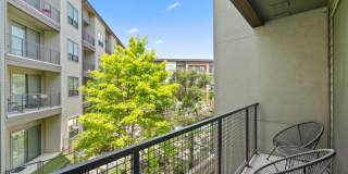 The Standard at Legacy Gallery 12