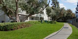 Olive Ridge Apartments Gallery 26