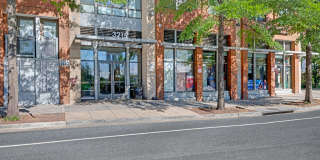 The Shelton Gallery 2