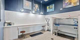 The Standard at Legacy Gallery 37