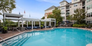 Sofi Lyndhurst Gallery 13