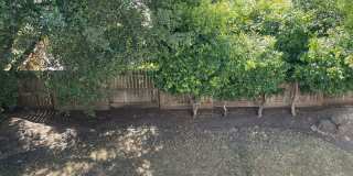 Beautiful 3-Bedroom Family Home in Desirable Northeast Stockton Gallery 17