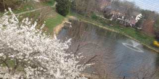 9548 FOX HOLLOW Gallery 10