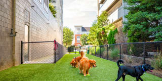 Halstead Square - Lotus & Lofts Gallery 11