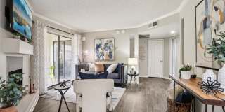 Vetra Chandler Gallery 31