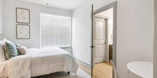 The Belle at the Lamar Gallery 28