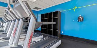 Westchester Tower Rental Apartments Gallery 25