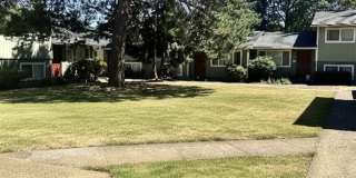 Mt. Pleasant Gallery 28