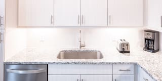 Magnolia at West Lemmon Gallery 9