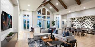 Allora New Forest Gallery 8