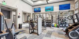 The Standard Gallery 29