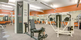 Americana Gallery 34