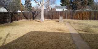 University Hills  Adorable 2 Bed 1 Bath Home with HUGE Fenced Yard, Central Air/Heat, Garage and Storage Shed!! Gallery 43