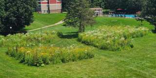 The Meadows Apartments Gallery 17