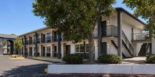 Juniper Flats Gallery 5