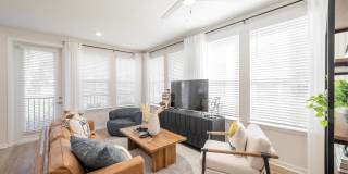 Alta Citron Gallery 73