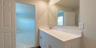 6234 FIELDRUN Gallery 16