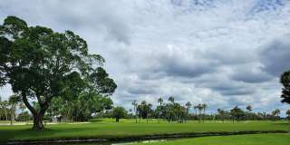 SEASONAL SHORT-TERM 1-BED 1 BATH CONDO ON LONGBOAT KEY. BEACH ACCESS Gallery 41