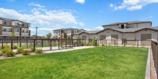 Prose Ascend Gallery 55