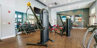 TGM Ibis Walk Gallery 23