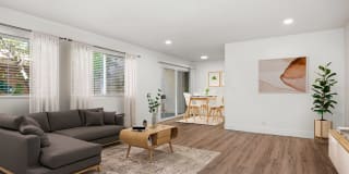 The Current 340 Gallery 14