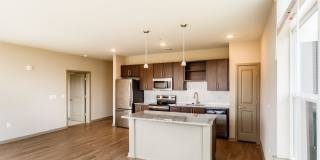 Bells Bluff Bells Bluff Gallery 1