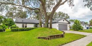 2906 WINDRIDGE Drive Gallery 41