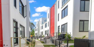 Luxury 3 Bed Townhome in Durham RTP Gallery 6