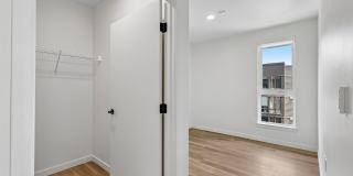Tanager Gallery 19
