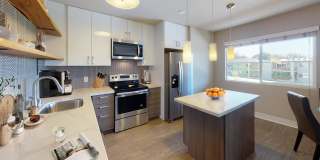 CitySouth Gallery 17