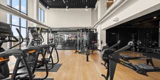 The Pioneer Gallery 69