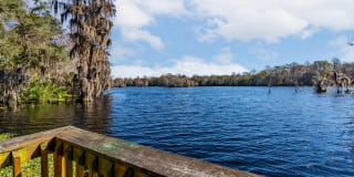 River View Gallery 39