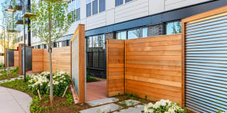 The Pioneer Gallery 54