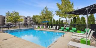 Trotters Park Gallery 2