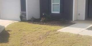 124 Willborough Avenue Gallery 1